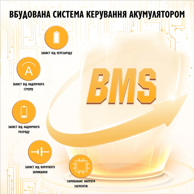 Аккумулятор Eco Worthy LiFePO4 12V 50Ah (640Wh) со встроенным BMS, 3000+ циклов - изображение 2