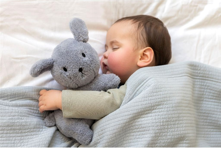 Maskotka Tiamo Miffy Fluffy Snuffie Pies 25 cm Blue (8713291669420) - obraz 3