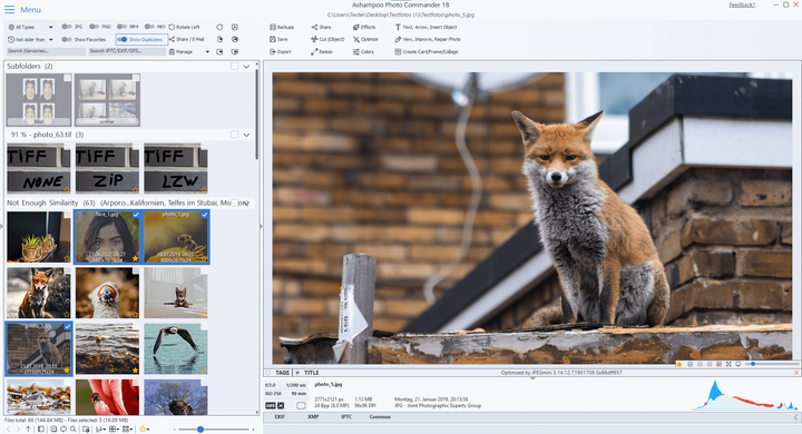 Універсальний перегляд і редагування фото, Ashampoo Photo Commander 18, безтермінова ліцензія, 1 ПК - изображение 5