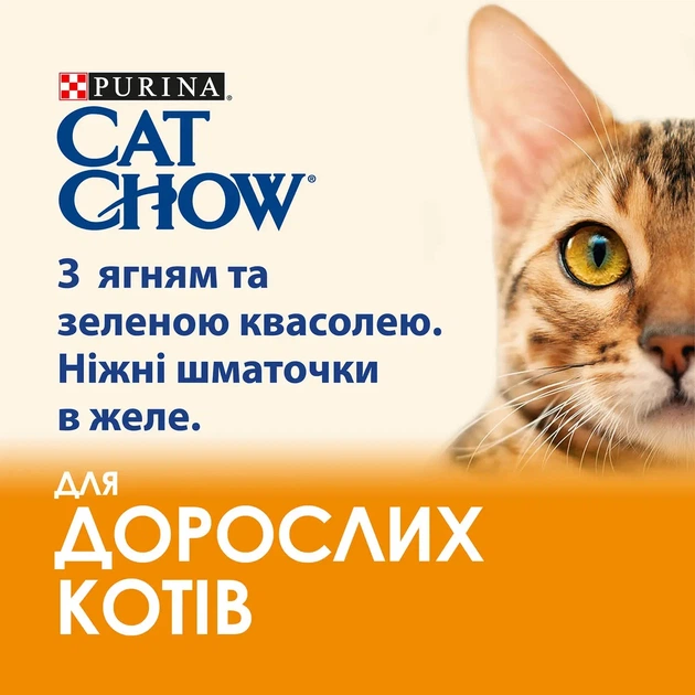 Вологий корм CAT CHOW Adult для дорослих котів шматочки в желе з ягням та зеленою квасолею 85 г - Фото 2 Вологий корм CAT CHOW Adult для дорослих котів шматочки в желе з ягням та зеленою квасолею 85 г - изображение 2