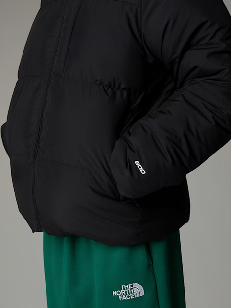 Детская зимняя пуховая куртка для мальчика The North Face