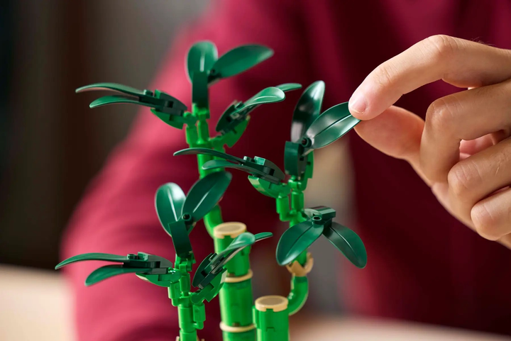 Конструктор LEGO Botanicals Драцена сандера 325 елементів (10344) - зображення 7