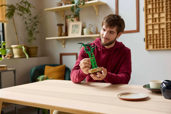 Конструктор LEGO Botanicals Драцена сандера 325 елементів (10344) - зображення 8