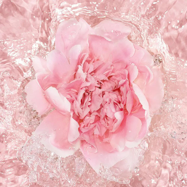 Парфумована вода для жінок Guerlain La Petite Robe Noire L'eau Rose 100 мл (3346470148536) - зображення 4