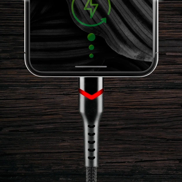 Кабель USB на USB-C everActive CBB-2CBR 2m RGB, USB 2.0, PD 3A 60W, черный в оплетке с RGB подсветкой - Фото 4 Кабель USB на USB-C everActive CBB-2CBR 2m RGB, USB 2.0, PD 3A 60W, черный в оплетке с RGB подсветкой - изображение 4