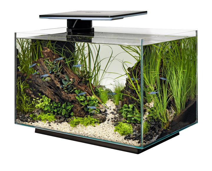 Акваріумний набір SuperFish Quadro 70 Pro Black (A4052225). - изображение 3