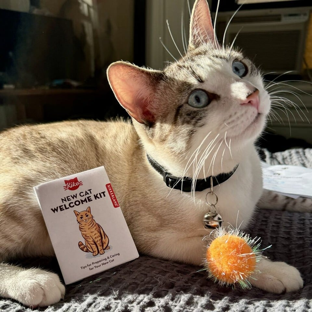 Набір аксесуарів для кота Kikkerland Welcome Cat Tin (0612615122086) - зображення 3