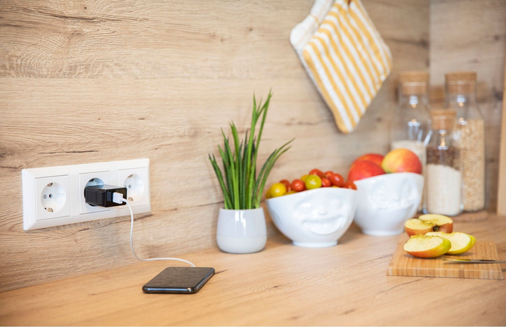 Мережевий зарядний пристрій Ansmann Home Charger HC218PD Black (4013674176557) - зображення 7