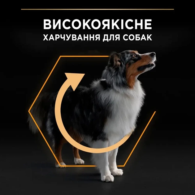 Сухий корм PRO PLAN Medium Adult 1+ Everyday Nutrion для дорослих собак середніх порід з куркою 3 кг - изображение 5