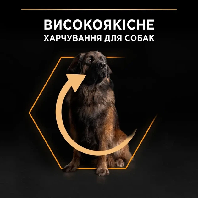 Сухий корм PRO PLAN Large Robust Adult 2+ Everyday Nutrion для дорослих собак великих порід з куркою 14 кг - изображение 6