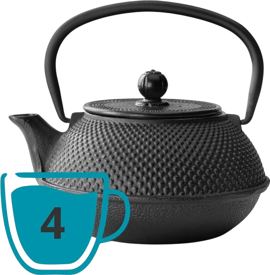 Чайник Bredemeijer Asia Jang чавунний 0.8 л (8711871352359) - зображення 5