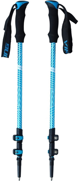 Kije do chodzenia Viking Shiva 135 cm Blue/Black (5901115805441) - obraz 1