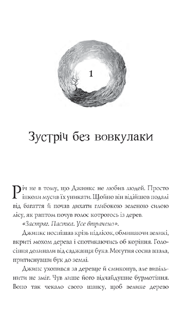 Магія Джинкса Книга 2 Сейдж Блеквуд Богдан - Фото 3 Магія Джинкса Книга 2 Сейдж Блеквуд Богдан - изображение 3