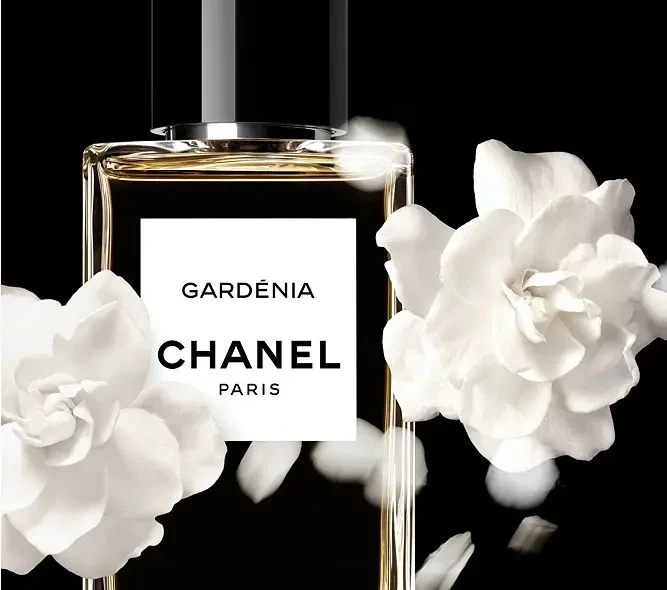 Парфуми Chanel Les Exclusifs De Chanel Gardenia 4 мл Мініатюри - Фото 3 Парфуми Chanel Les Exclusifs De Chanel Gardenia 4 мл Мініатюри - зображення 3