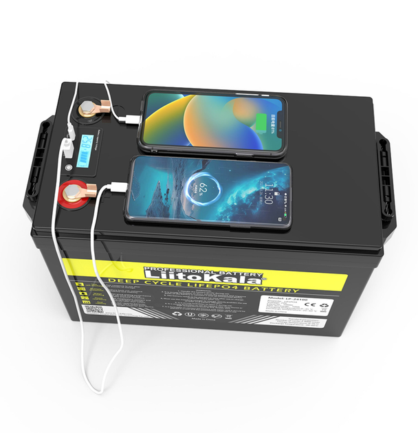 Аккумулятор LiitoKala LiFePO4 LCD 24V 100Ah (2400Wh) со встроенным BMS, 4000+ циклов - изображение 3