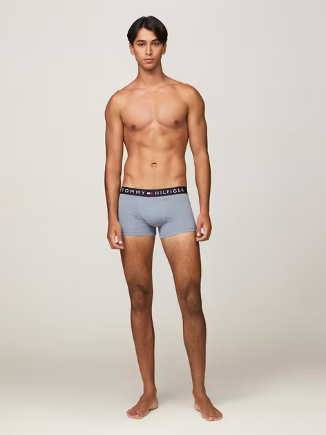 Набір трусів-боксерів чоловічих Tommy Hilfiger UM0UM03399-0XR S 3 шт Синій (8720637188286) - зображення 6