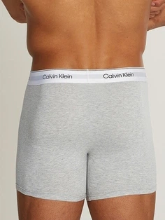 Набір трусів-боксерів чоловічих Calvin Klein Underwear 000NB3964A-MP1 S 3 шт Сірий/Білий/Чорний (8720639723089) - зображення 3