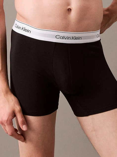 Набір трусів-боксерів чоловічих Calvin Klein Underwear 000NB3964A-MP1 L 3 шт Сірий/Білий/Чорний (8720639723331) - зображення 4