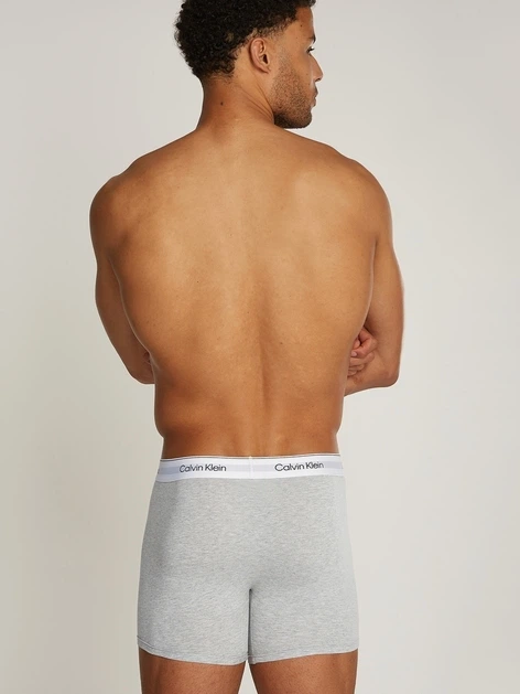 Набір трусів-боксерів чоловічих Calvin Klein Underwear 000NB3964A-MP1 2XL 3 шт Сірий/Білий/Чорний (8720639723386) - зображення 7