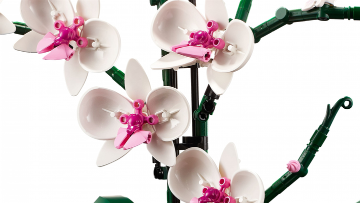 Zestaw klocków LEGO Icons Orchidea 608 elementów 3 szt (10311) - obraz 5