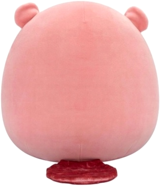 Maskotka Squishmallows SpecialB Darlene Bóbr 55856 30 cm (196566455856) - obraz 3