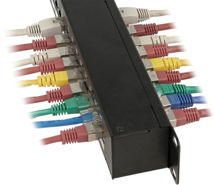 Патч-панель Delock 19" 1U 24 port Cat.6 Black (4043619432950) - зображення 3