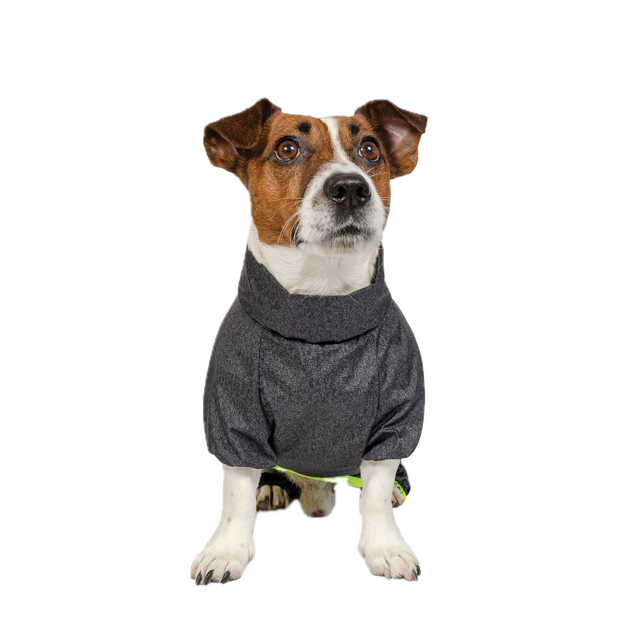 Дощовик для собак Pet Fashion Rain розмір M - зображення 7