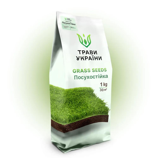 Насіння Посухостійке 1 кг газонної трави Трави України - зображення 1