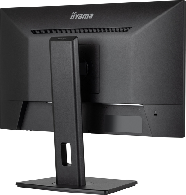 Монитор 23.8" iiyama ProLite XUB2493HSU-B7 - изображение 8