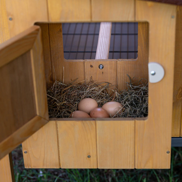Будиночок для курей Ferplast Hen House 30 162х100х110 см (57096000) - зображення 3