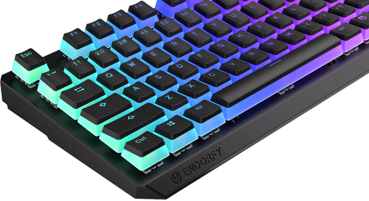 Klawiatura bezprzewodowa Endorfy Thock TKL Pudding Kailh Box Red Wireless Black (EY5A119) - obraz 12