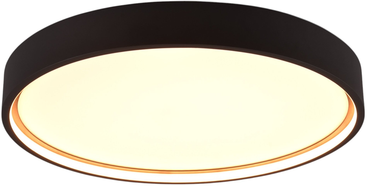 Потолочный светильник TRIO DOHA LED 29W 3260lm 2300+3000+4000K (641310232) - изображение 1