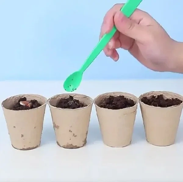 Набор для опытов домашняя теплица Home made plant Игровой набор теплица для выращивания растений с семенами - Фото 7 Набор для опытов домашняя теплица Home made plant Игровой набор теплица для выращивания растений с семенами - изображение 7
