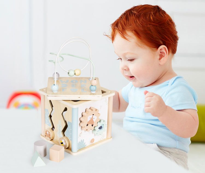 Дерев'яний сортер EcoToys розвиваючий блок (5903769977451) - зображення 11