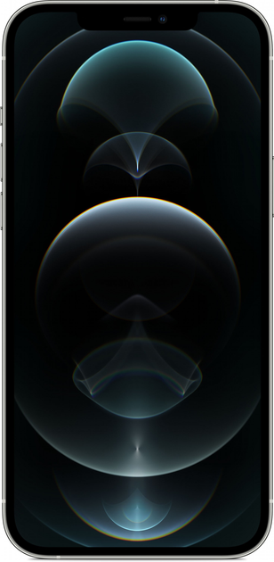Apple iPhone 12Promaxシルバー 本体（256GB） Apple iPhone 12 Pro Max 256GB Silver (MGDD3) купить в