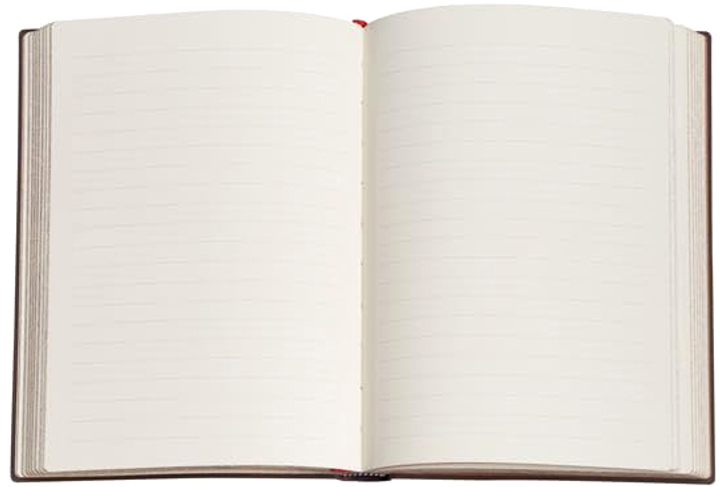 Блокнот Paperblanks Spinola Hours Mini Flexi 9 х 14 см в лінію 208 аркушів (9781439793954) - зображення 4