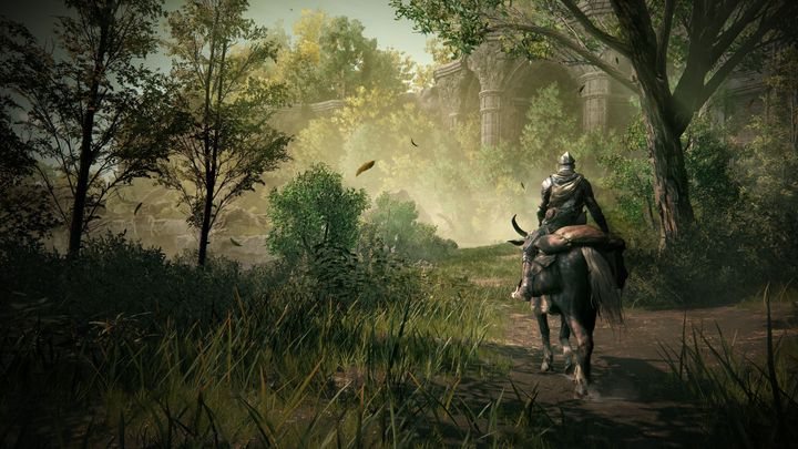 Gra PS5 Elden Ring: Shadow of the Erdtree Edition (płyta Blu-ray) (3391892032086) - obraz 10