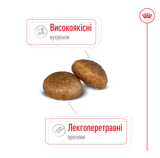Корм для дорослих собак великих порід ROYAL CANIN MAXI ADULT 15,0 кг (30071500) - Фото 3 Корм для дорослих собак великих порід ROYAL CANIN MAXI ADULT 15,0 кг (30071500) - изображение 3