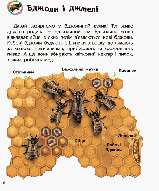 Енциклопедія дошкільника Видавництво РАНОК Комахи (С614014У) - Фото 5 Енциклопедія дошкільника Видавництво РАНОК Комахи (С614014У) - изображение 5