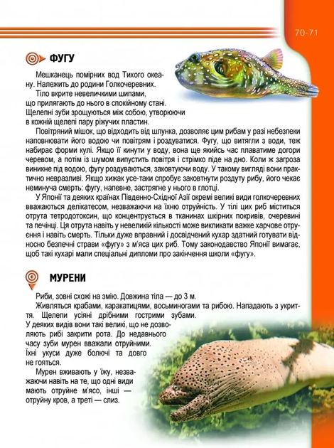 Енциклопедія для допитливих : Мешканці морів та океанів - Фото 3 Енциклопедія для допитливих : Мешканці морів та океанів - изображение 3