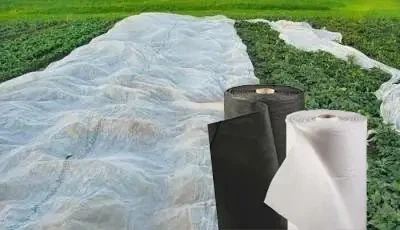 Агроволокно Greentex Р50 укривне для захисту рослин 1.6 x 100 м біле - зображення 3