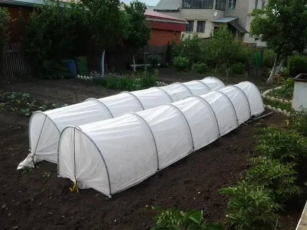 Мини парник MaksiAgro 8 м, плотность 50 г/м², 80×120 см — компактная теплица из агроволокна для защиты и быстрого роста растений - изображение 5
