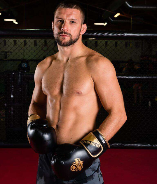 Rękawice bokserskie Bushido B-2v10 rozmiar 12 oz Black/Gold (5902539015911) - obraz 13