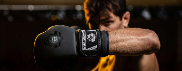 Боксерські рукавички Bushido B-2v12 розмір 16 oz Black (5902539019445) - зображення 9