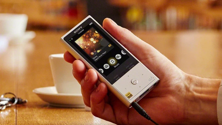 Аудиоплеер Sony NW-ZX100 – фото, отзывы, характеристики в интернет