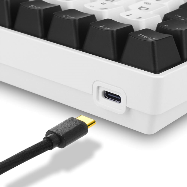 Klawiatura przewodowa Sharkoon Skiller SGK50 S3 Gateron Yellow USB White (4044951039692) - obraz 4