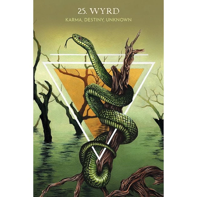 Карты Руны: Путеводитель животных - Animal Guide Rune Cards. Blue Angel - Фото 4 Карты Руны: Путеводитель животных - Animal Guide Rune Cards. Blue Angel - изображение 4