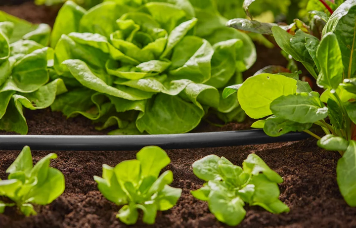 Wąż do systemu kroplującego Gardena 13 mm 50 m (01347-20) - obraz 3