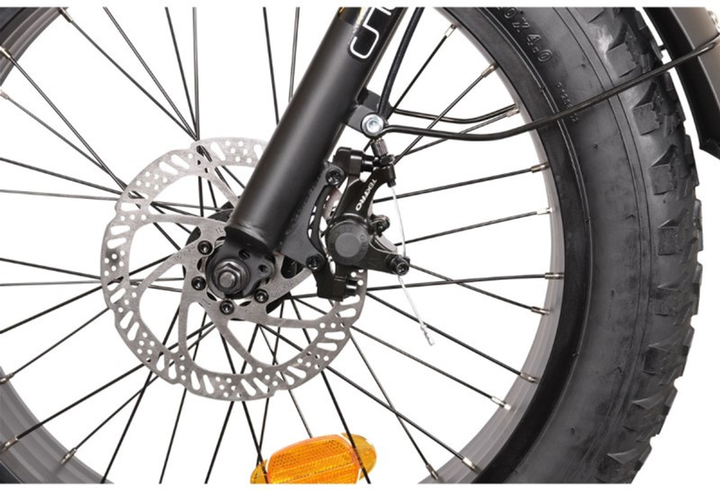 Електровелосипед Denver Fat Discovery E2500 (RD20E0766XI203.22077) - зображення 6