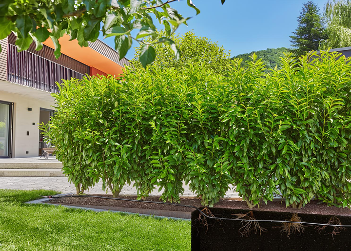 Крапельна лінія Gardena Micro Drip System 25 м (13503-20) - зображення 3